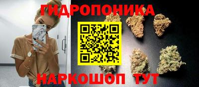 дмт Апшеронск